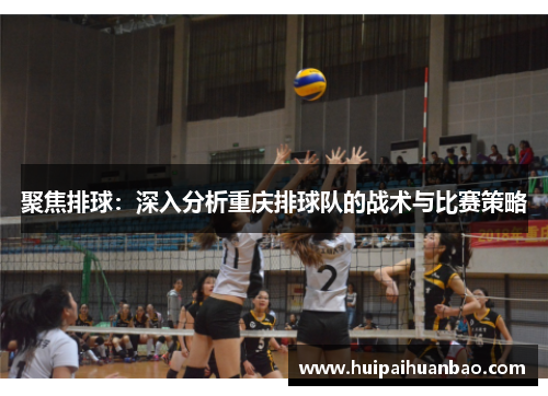 聚焦排球：深入分析重庆排球队的战术与比赛策略
